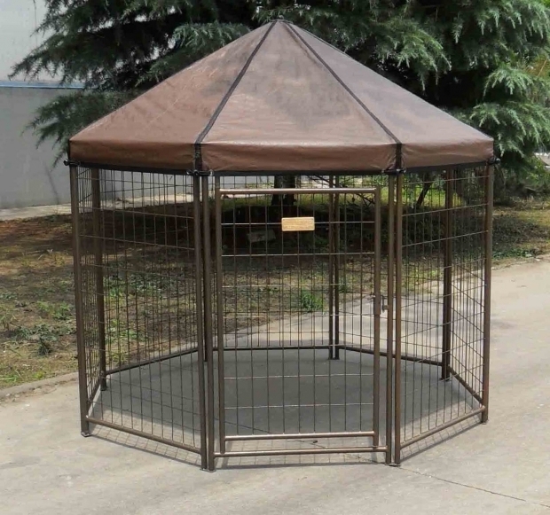 Fantastic Advantek Pet Gazebo Advantek News And Notes The Pet Gazebo