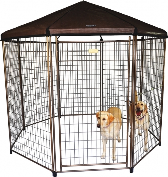Picture of Advantek Pet Gazebo Review The Advantek Pet Gazebo Animal Hub
