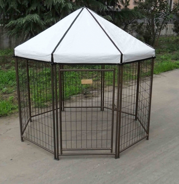 Wonderful Advantek Pet Gazebo Advantek News And Notes The Pet Gazebo