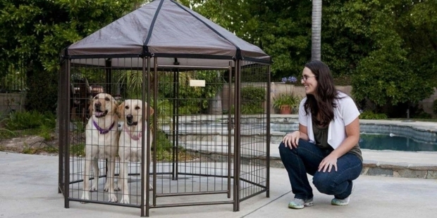 Awesome Advantek Pet Gazebo Modular Outdoor Dog Kennel Review The Advantek Pet Gazebo Animal Hub