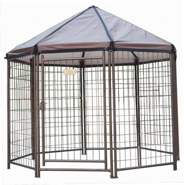 Alluring Advantek Pet Gazebo Outdoor Kennel Advantek Pet Gazebo Outdoor Kennel Gazebo Ideas