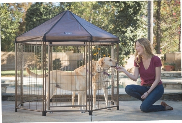 Gorgeous Advantek Pet Gazebo Outdoor Kennel Advantek Pet Gazebo Outdoor Kennel Gazebo Ideas