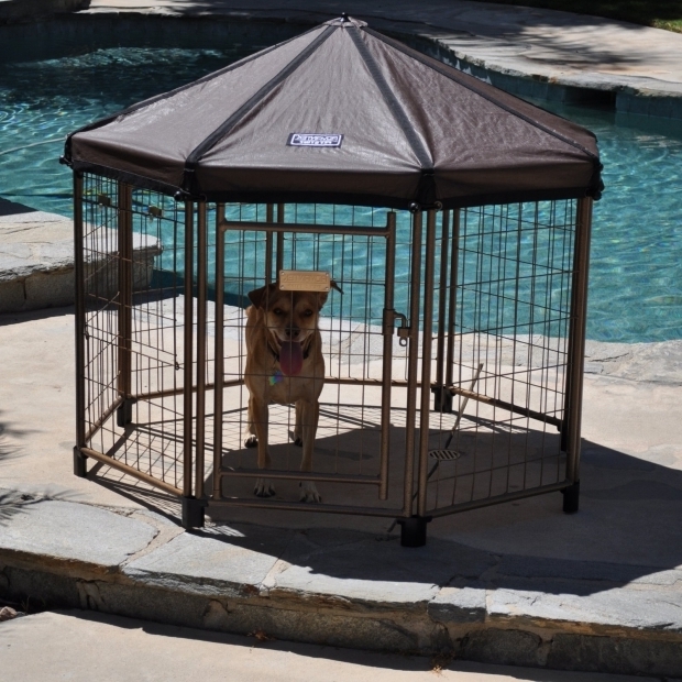 Incredible Advantek Pet Gazebo Outdoor Kennel Advantek Original Pet Gazebo Medium Dog Kennels At Hayneedle