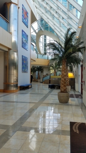 Picture of Gazebo Inn Myrtle Beach Sc Interior Design Interior Design Myrtle Beach Hotel Coupons For