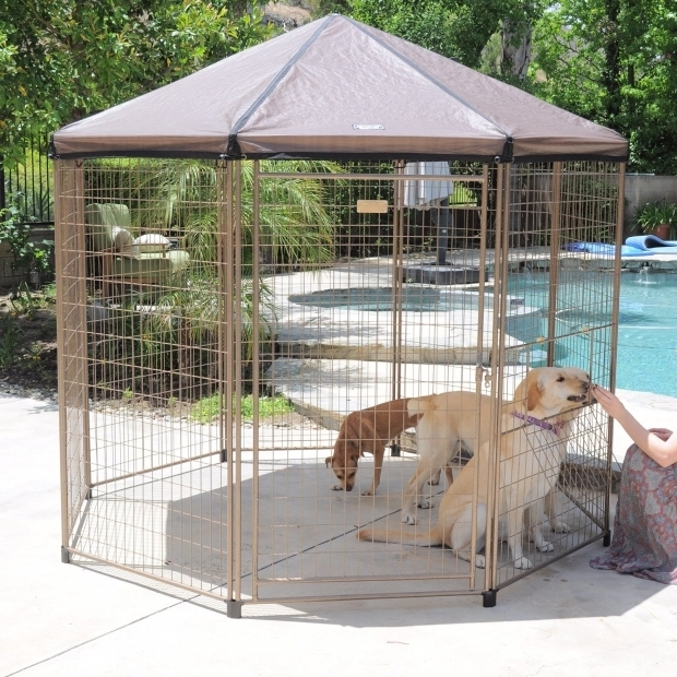 Advantek Pet Gazebo