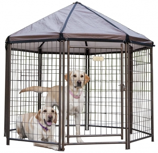 Advantek Pet Gazebo Modular Outdoor Dog Kennel
